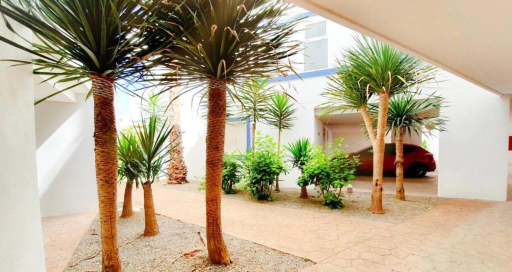 Apartment With Sea Views In Las Terrazas/Playa Flamenca Dehesa de Campoamor  Extérieur photo