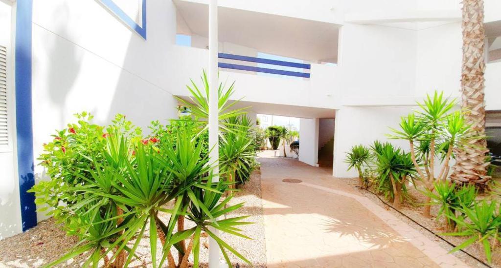 Apartment With Sea Views In Las Terrazas/Playa Flamenca Dehesa de Campoamor  Extérieur photo